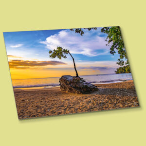 Metal Prints