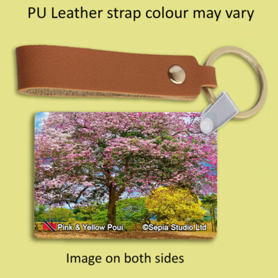 Key Ring Metal Pink & Yellow Poui