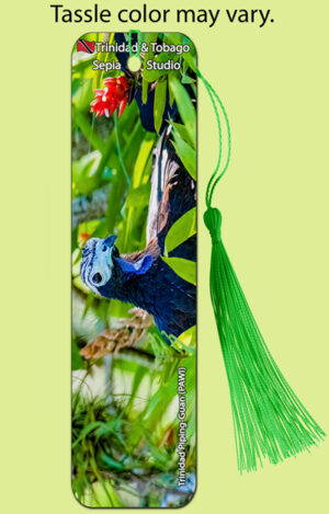 Bookmark Metal Piping-Guan (PAWI) (Birds)