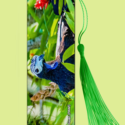 Bookmark Metal (Birds) Piping-Guan (PAWI)