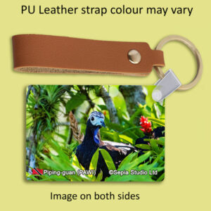 Key Ring Metal Piping-Guan (PAWI)