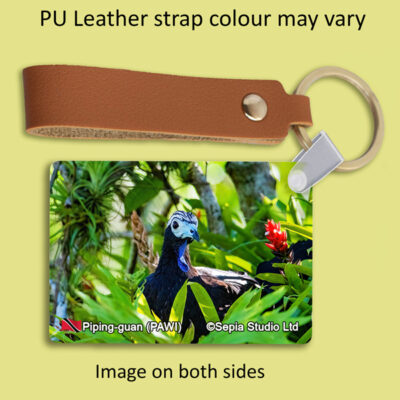 Key Ring Metal Piping-Guan (PAWI)
