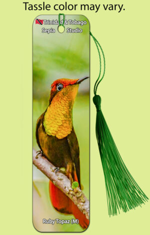 Bookmark Metal Ruby Topaz (M) (Hummingbird)