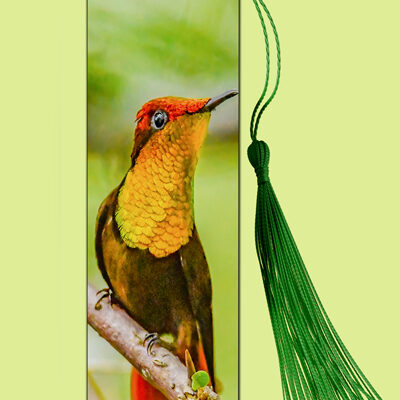 Bookmark Metal (Hummingbird) Ruby Topaz (M)