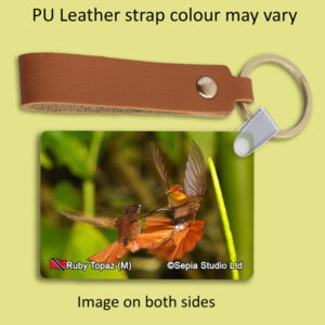 Key Ring Metal Ruby Topaz (M) Hummingbird
