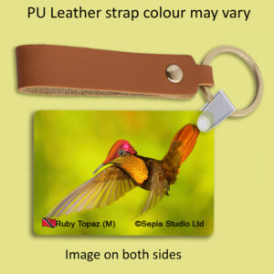 Key Ring Metal Ruby Topaz (M) Hummingbird