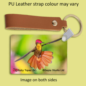 Key Ring Metal Ruby Topaz (M) Hummingbird