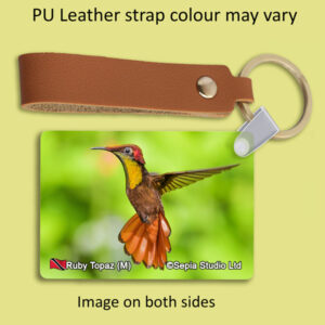 Key Ring Metal Ruby Topaz (M) Hummingbird