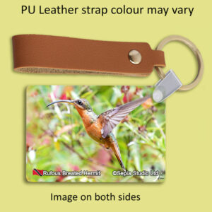 Key Ring Metal Rufous-breasted Hermit Hummingbird