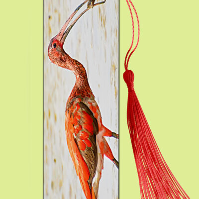 Bookmark Metal (Birds) Scarlet Ibis at Caroni Bird Sanctuary
