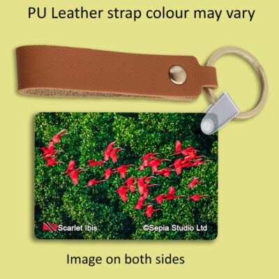 Key Ring Metal Scarlet Ibis