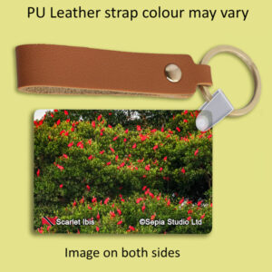 Key Ring Metal Scarlet Ibis 3