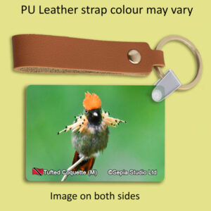 Key Ring Metal Tufted Coquette (M) Hummingbird