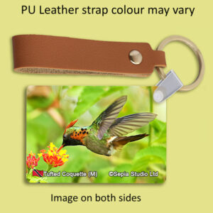 Key Ring Metal Tufted Coquette (M) Hummingbird)