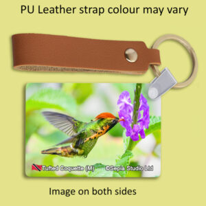 Key Ring Metal Tufted Coquette (M) Hummingbird