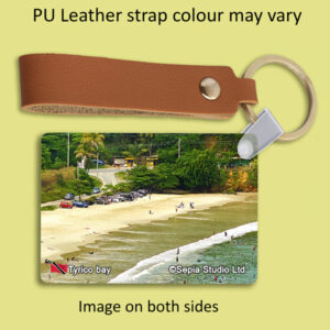 Key Ring Metal Tyrico Bay