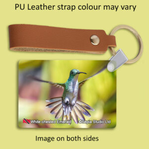 Key Ring Metal White-chested Emerald Hummingbird