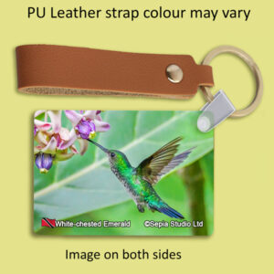 Key Ring Metal White-chested Emerald Hummingbird
