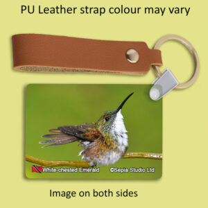 Key Ring Metal White-chested Emerald Hummingbird
