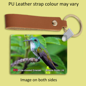Key Ring Metal White-chested Emerald Hummingbird