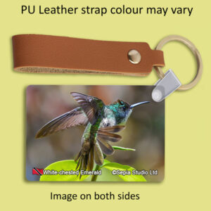 Key Ring Metal White-chested Emerald Hummingbird