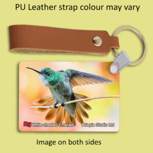 Key Ring Metal White-chested Emerald Hummingbird