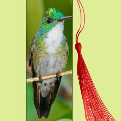 Bookmark Metal (Hummingbird) White-chested Emerald