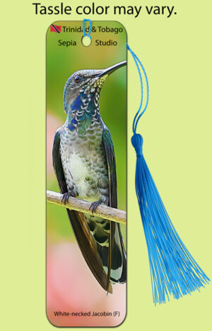 Bookmark Metal White-necked Jacobin (M) (Hummingbird)