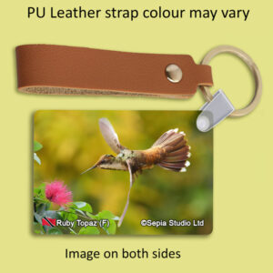 Key Ring Metal White-necked Jacobin (F) 2 Hummingbird