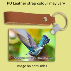 Key Ring Metal White-necked Jacobin (F) Hummingbird