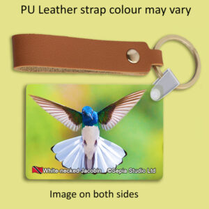 Key Ring Metal White-necked Jacobin (M) 2 Hummingbird