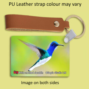 Key Ring Metal White-necked Jacobin (M) 3 Hummingbird