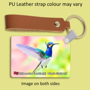 Key Ring Metal White-necked Jacobin (M) 5 Hummingbird