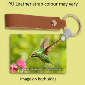 Key Ring Metal White-tailed Sabrewing Hummingbird