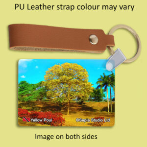 Key Ring Metal Yellow Poui