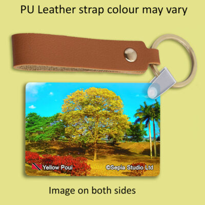Key Ring Metal Yellow Poui