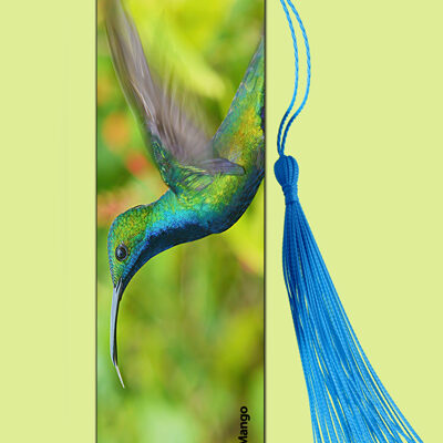 Bookmark Metal (Hummingbird) Black Throated Mango (M)