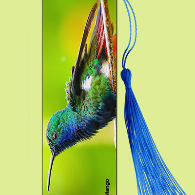 Bookmark Metal (Hummingbird) Black Throated Mango (M)