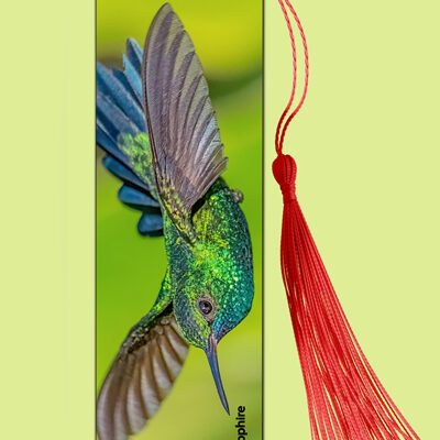Bookmark Metal (Hummingbird) Blue -Chinned Saphire