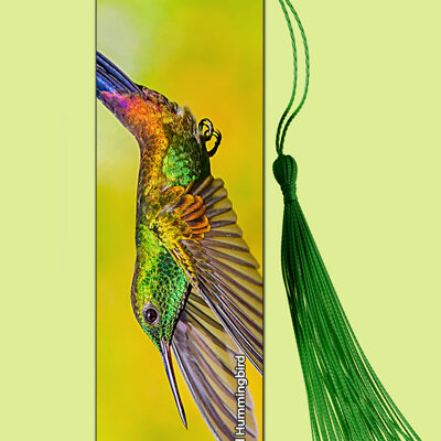 Bookmark Metal (Hummingbird) Copper Rumped