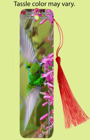 Bookmark Metal (Hummingbird) Copper-rumped