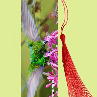 Bookmark Metal (Hummingbird) Copper-rumped