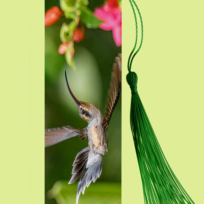 Bookmark Metal (Hummingbird) Green Hermit