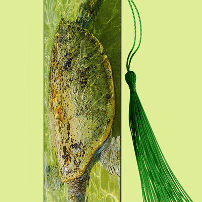Bookmark Metal (Turtles) Green Turtle