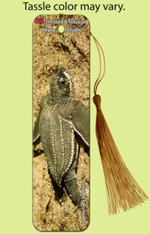 Bookmark Metal (Turtles) Leatherback Hatchling