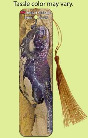 Bookmark Metal (Turtles) Leatherback Turtle