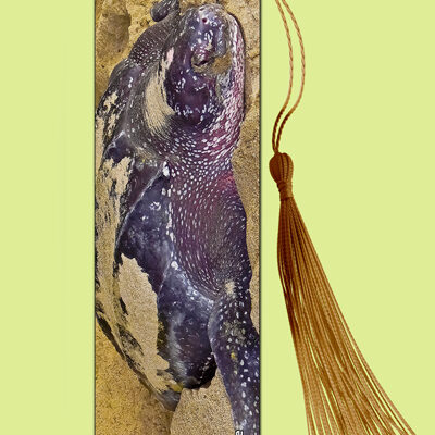 Bookmark Metal (Turtles) Leatherback Turtle