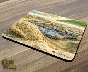 Mousepad (Turtle) Leatherback Turtle