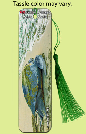 Bookmark Metal (Turtles) Leatherback Turtle