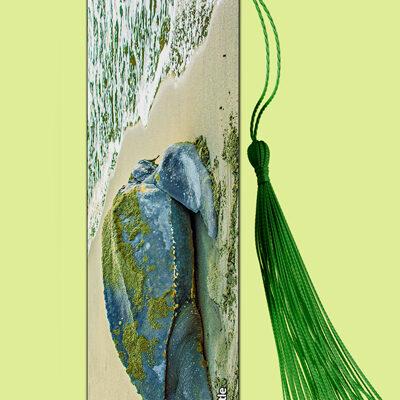 Bookmark Metal (Turtles) Leatherback Turtle